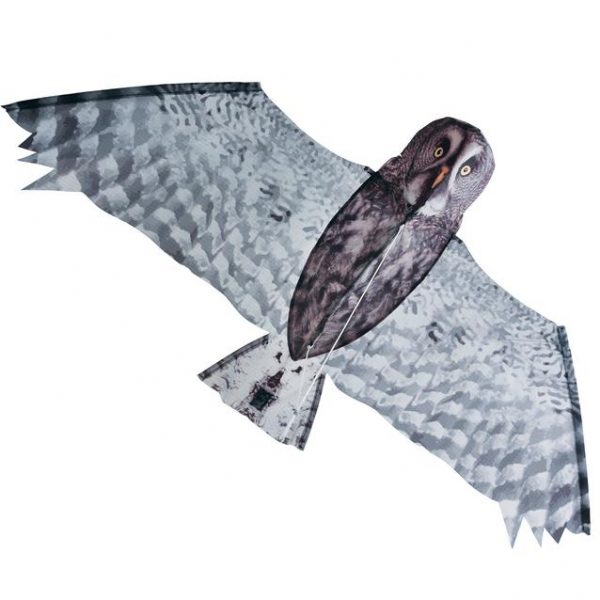 heebie jeebies - Grey Owl Kite