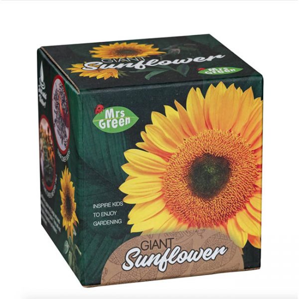 heebie jeebies Grow Your Own Sunflower