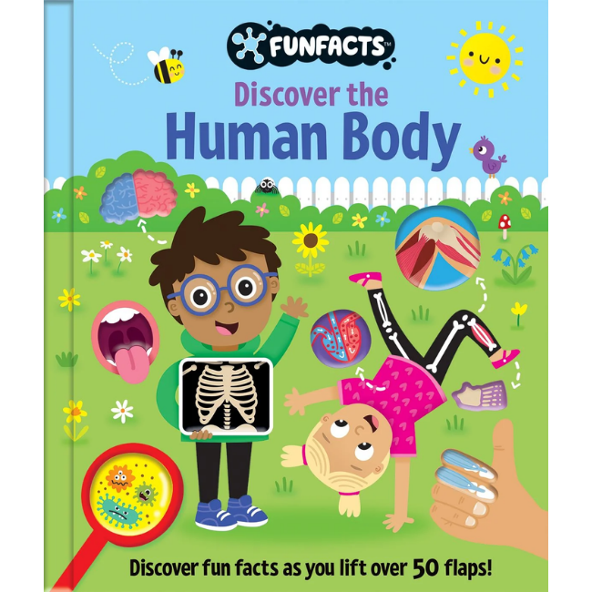 Lake Press - FunFacts Lift the Flap Board Book Discover the Human Body
