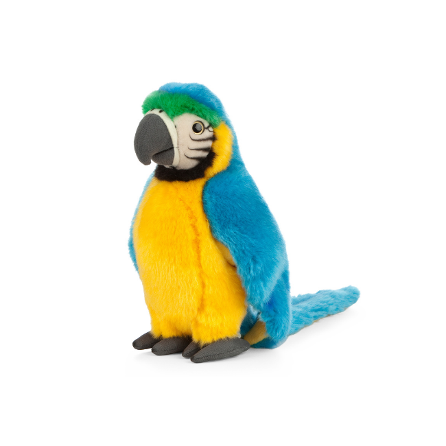 living nature macaw blue