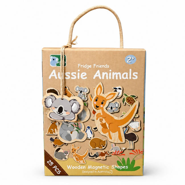 Koala Dream Fridge Friends Australian Animals