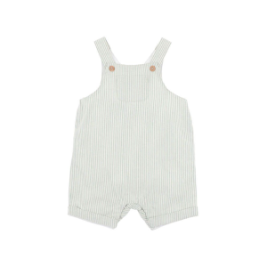 Bebe - Roman: Green Stripe Overalls