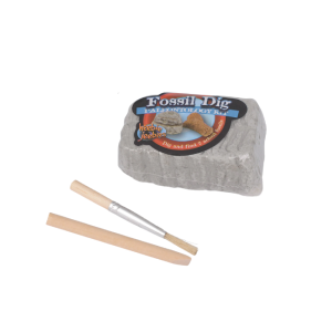 Heebie Jeebies - Pocket Money Science: Fossil Dig