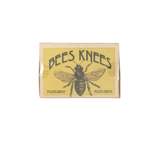 Project Genius - Matchbox Puzzle: Bees Knees