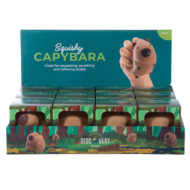 isgift discovery zone squishy capybara
