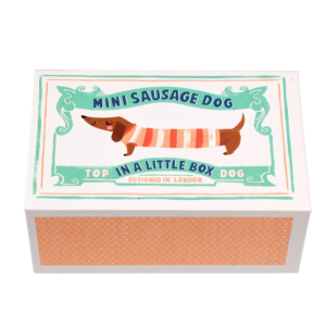 Rex London - Mini Sausage Dog In A Little Box