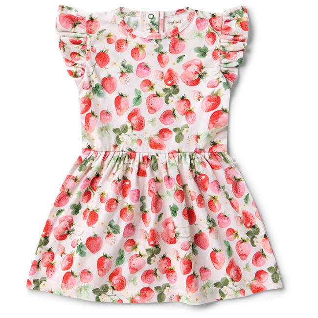 snuggle hunny Strawberry Short Sleeve Organic Dress (3)